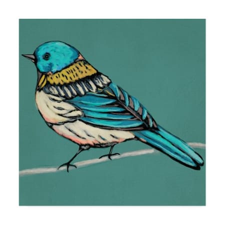 Chariklia Zarris 'Winged Sketch Iii On Teal' Canvas Art,24x24